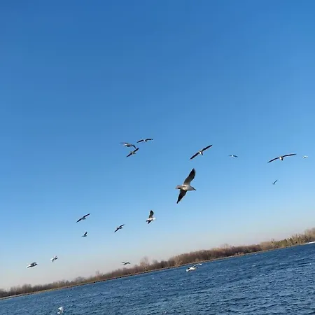 Baden Baden Rastatt Elsass Апартаменты